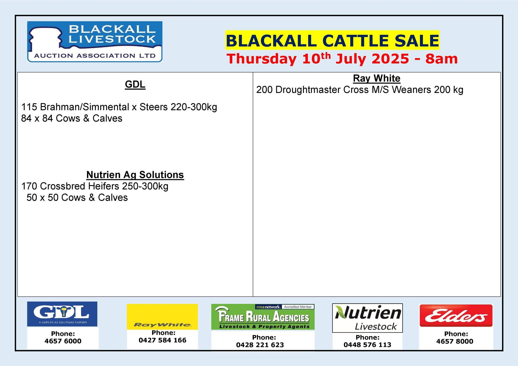 Blackall Cattle Sale.jpg
