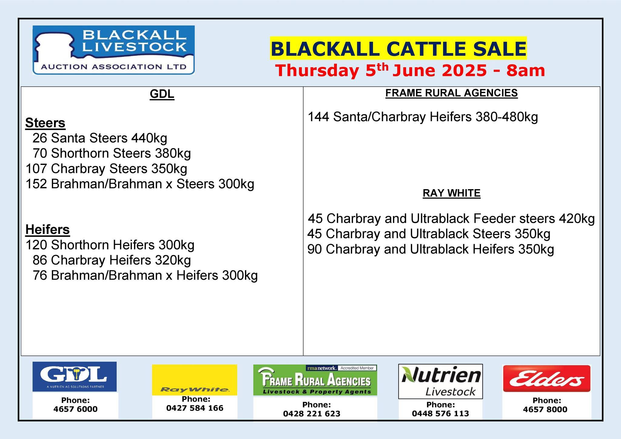 Blackall Cattle Sale.jpg