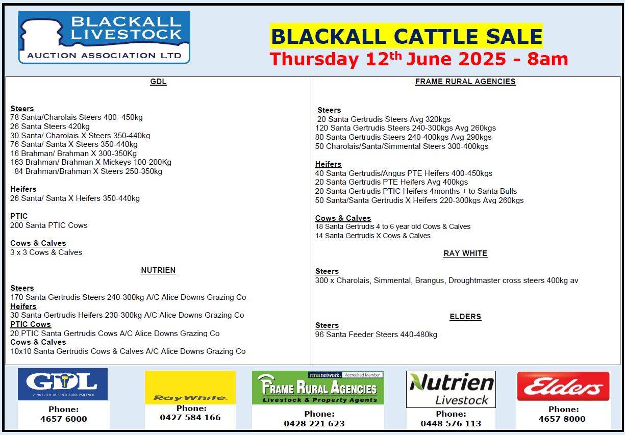 Blackall Cattle Sale.jpg