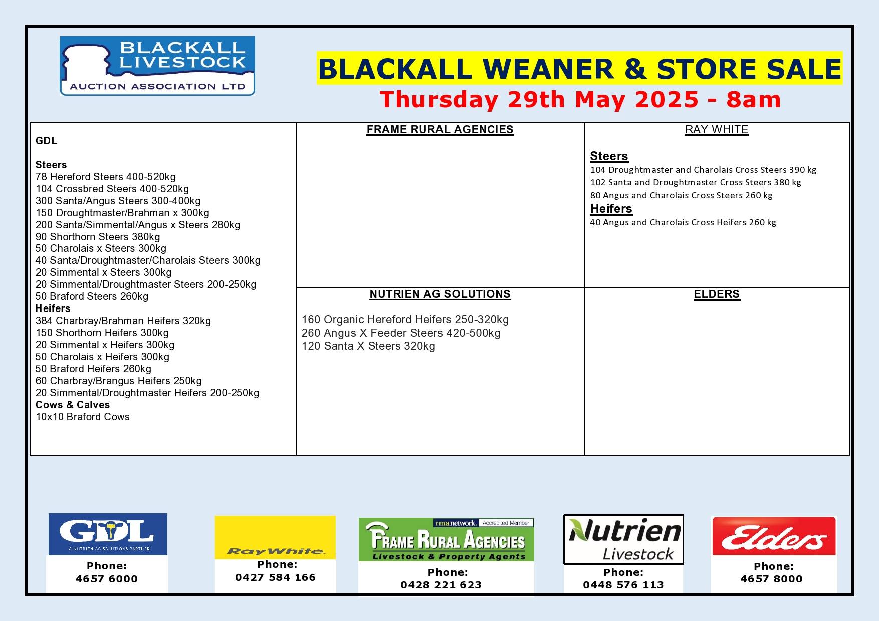 Blackall Weaner & Store Cattle Sale 2.jpg
