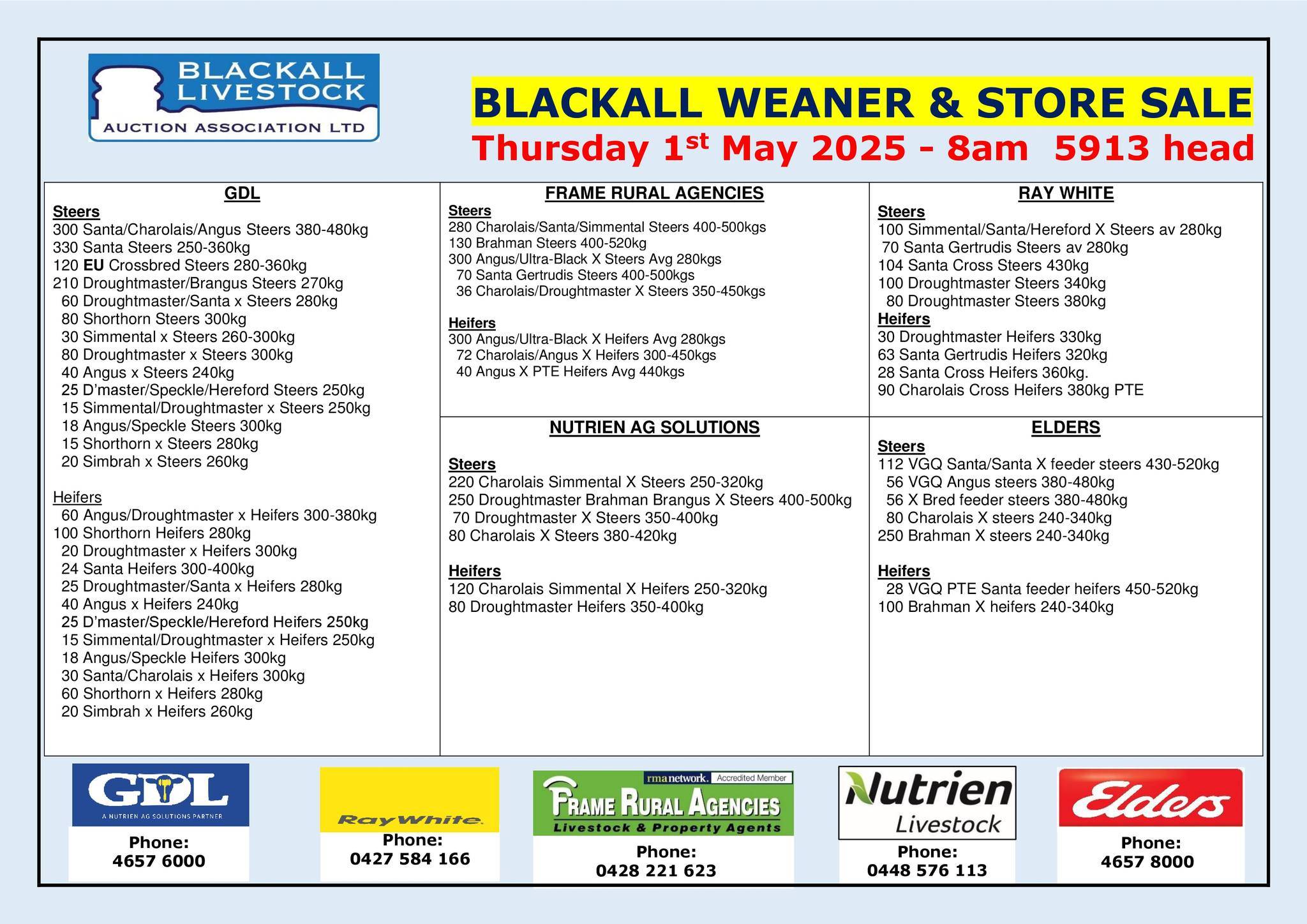 Blackall Weaner & Store Cattle Sale.jpg