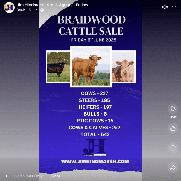 Braidwood Cattle Sale .png
