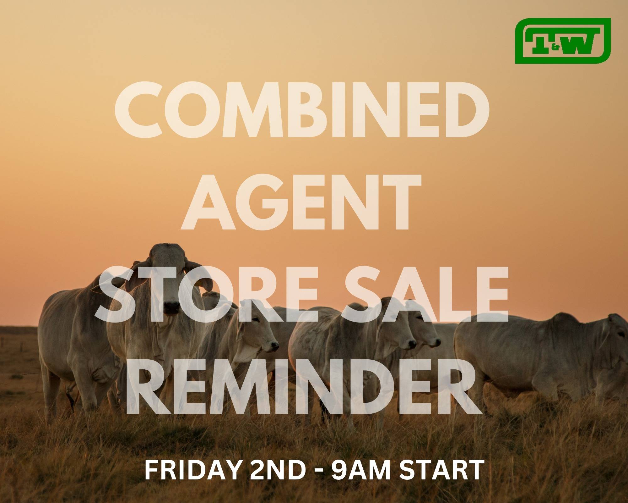 Casino Combined Agents Cattle Sale 4.jpg