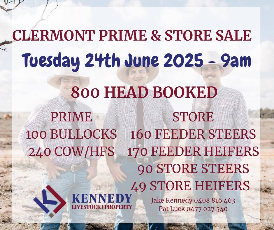 Clermont Prime and Store Cattle Sale.jpg
