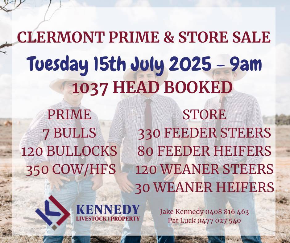 Clermont Prime and Store Sale.jpg