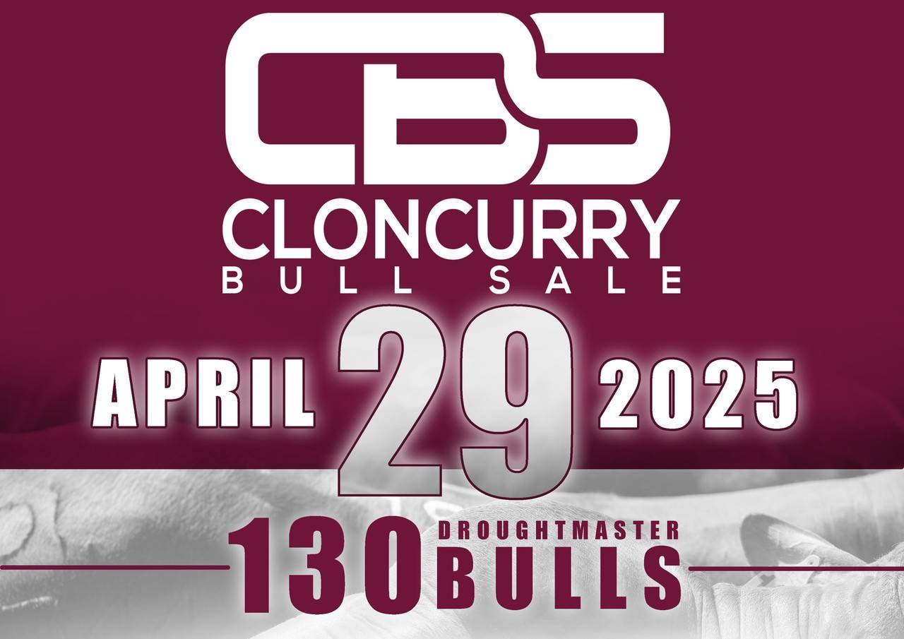 Cloncurry Bull Sale.jpg