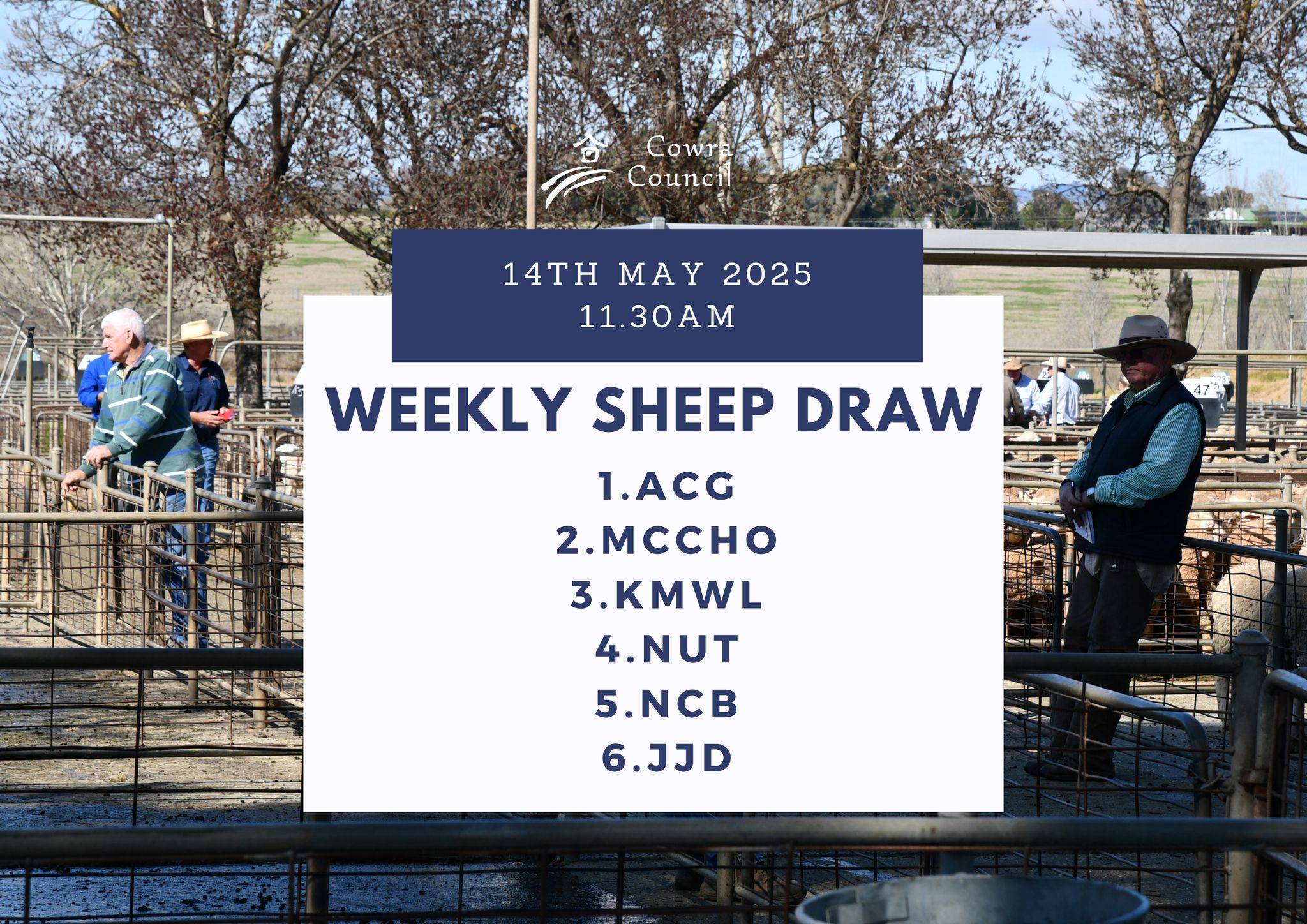 Cowra 2.jpg