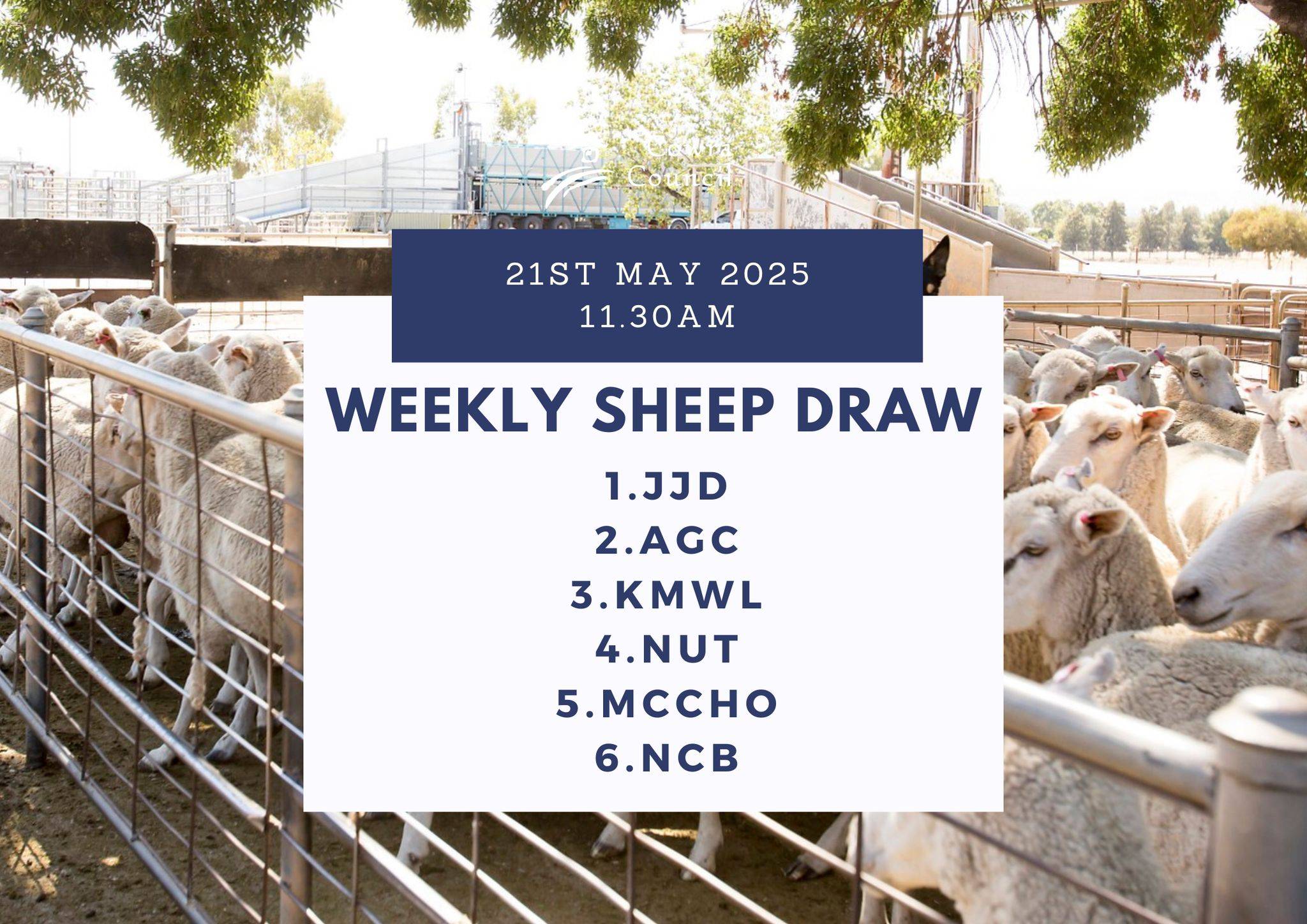 Cowra Lamb and Sheep Sale- 11-30, 21 May 1.jpg