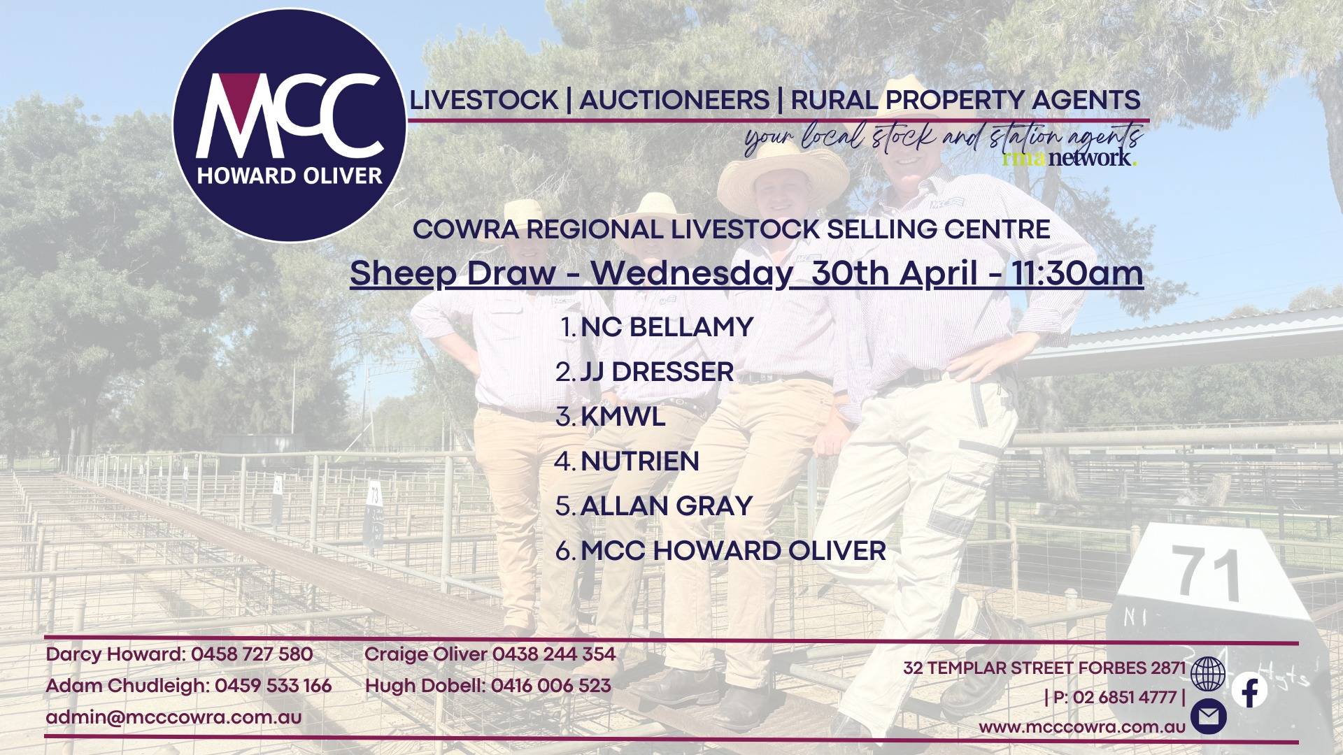 Cowra Sheep Sale.jpg