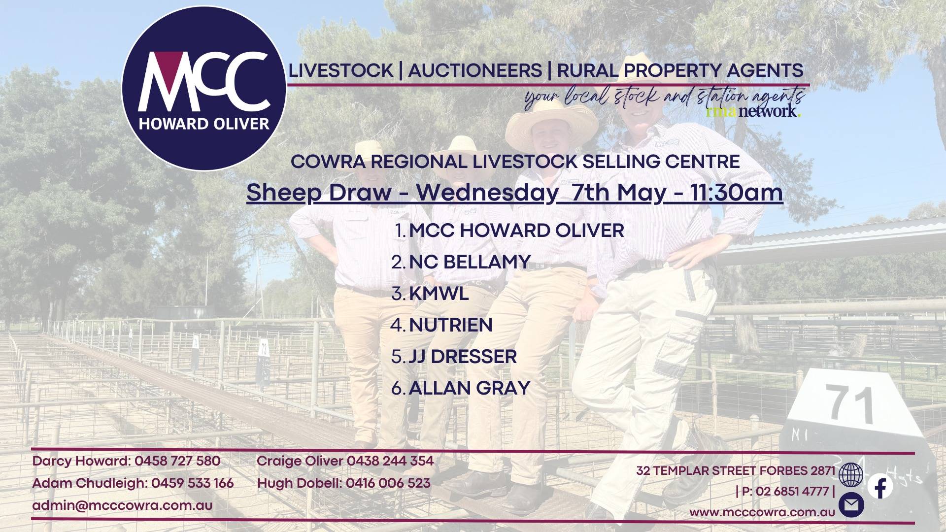 Cowra Sheep Sale.jpg