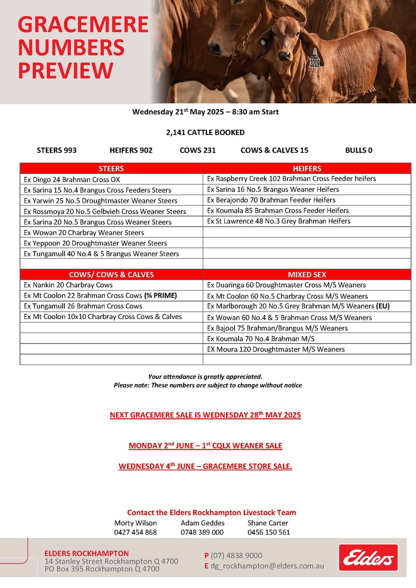 CQLX (Gracemere) Cattle Sale- 8-30am, 21 May 2.jpg