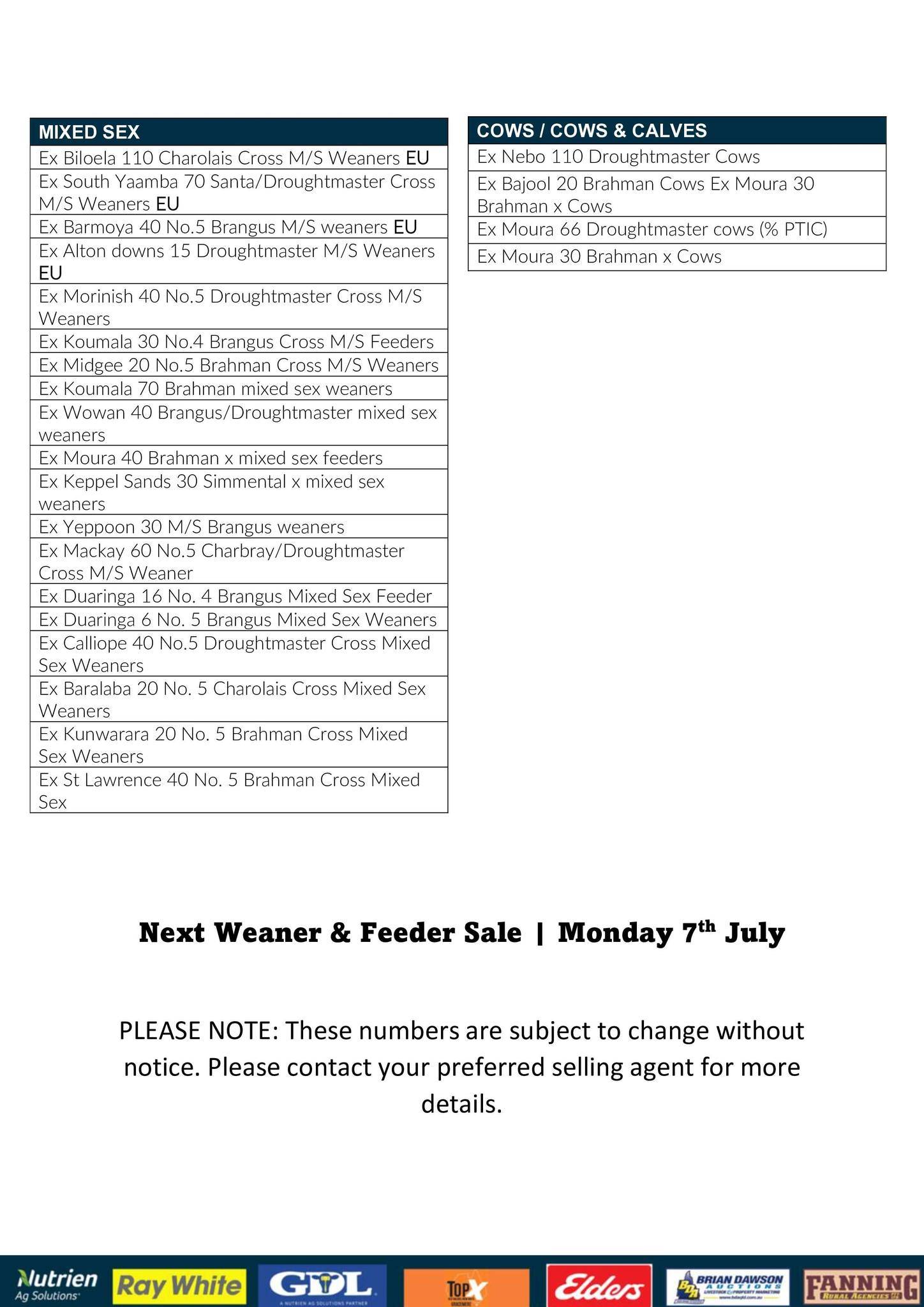 CQLX (Gracemere) Weaner & Feeder Sale 2025 + Weekly Prime & Store Sale 2.jpg