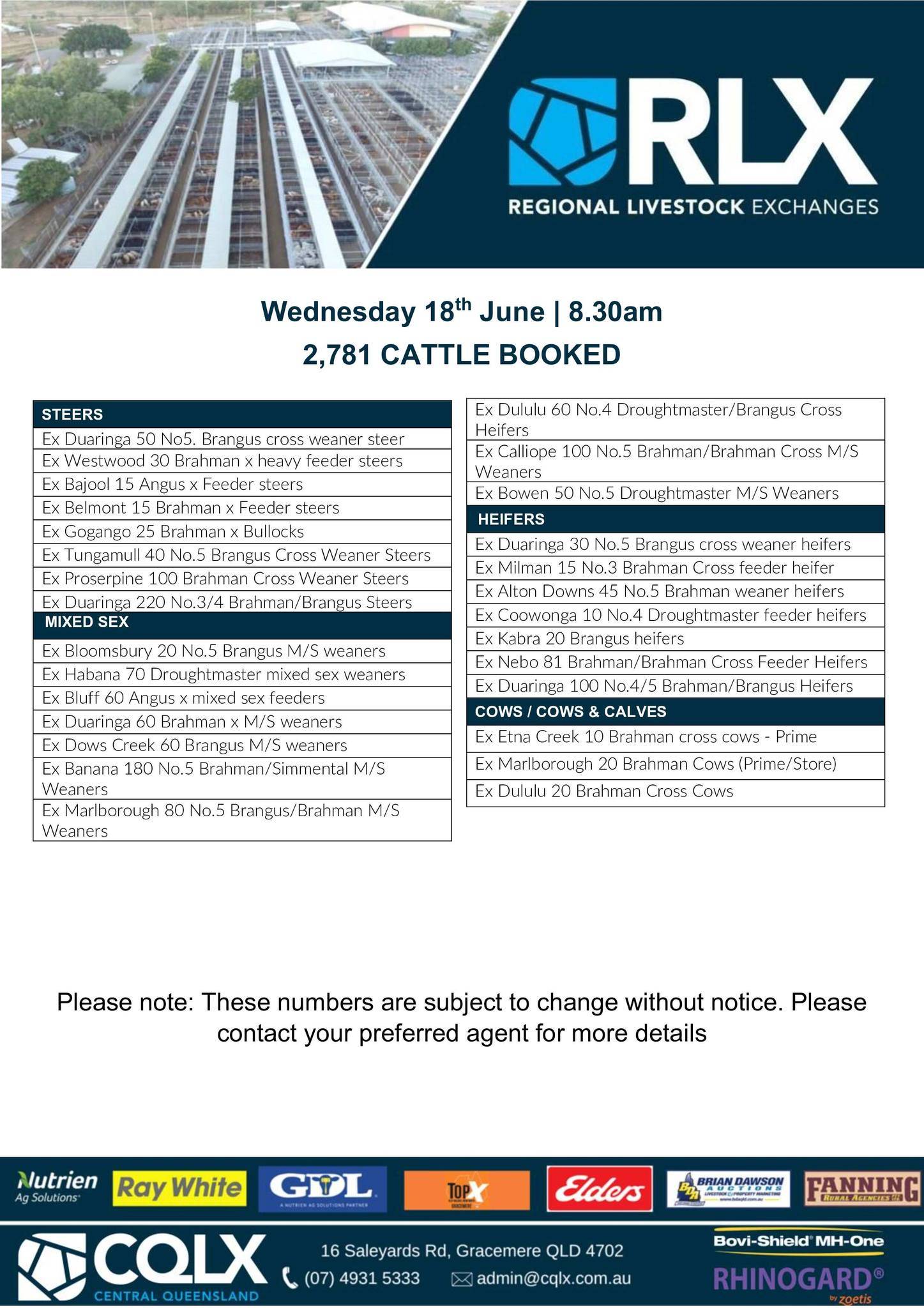 CQLX Store Cattle Sale 2.jpg