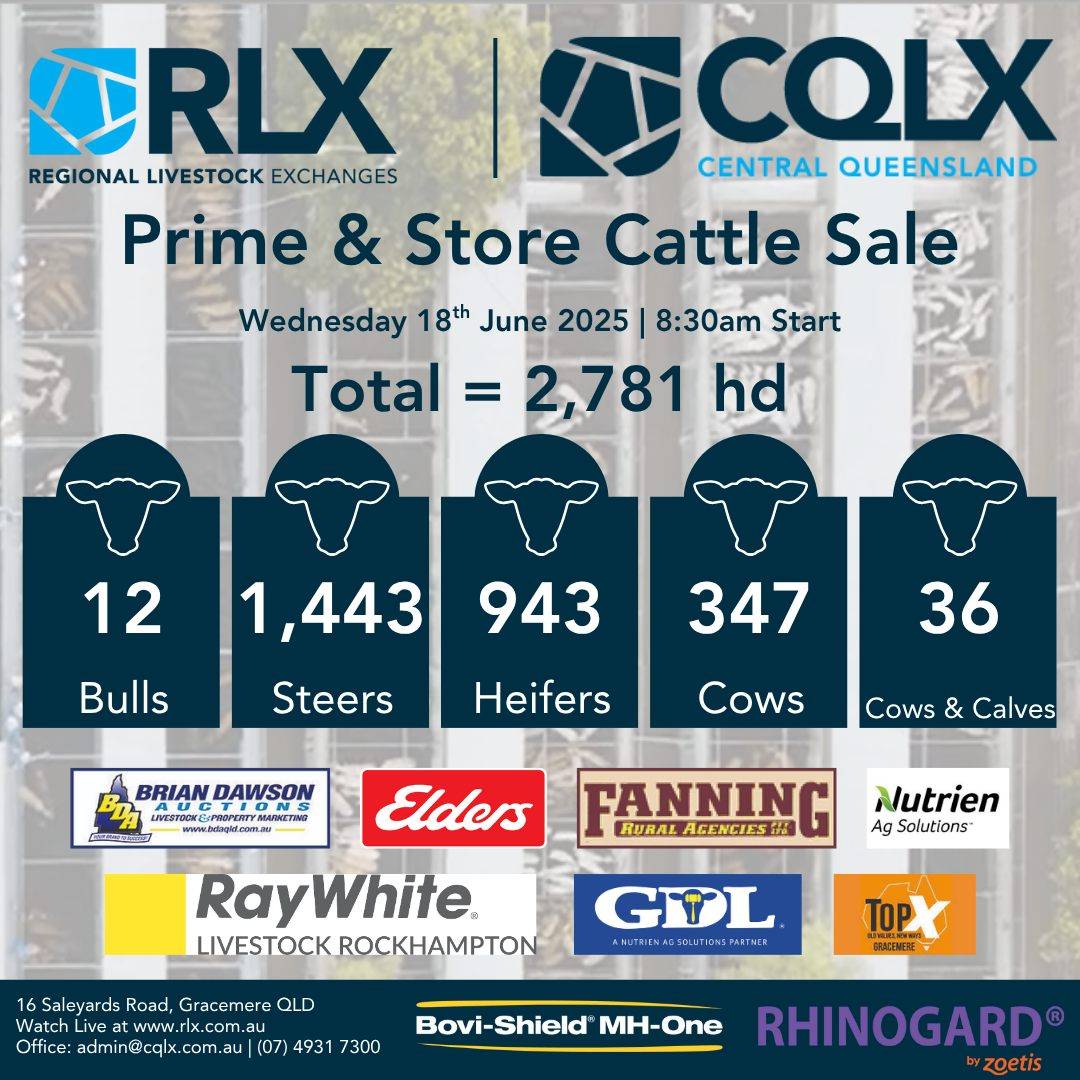 CQLX Store Cattle Sale.jpg