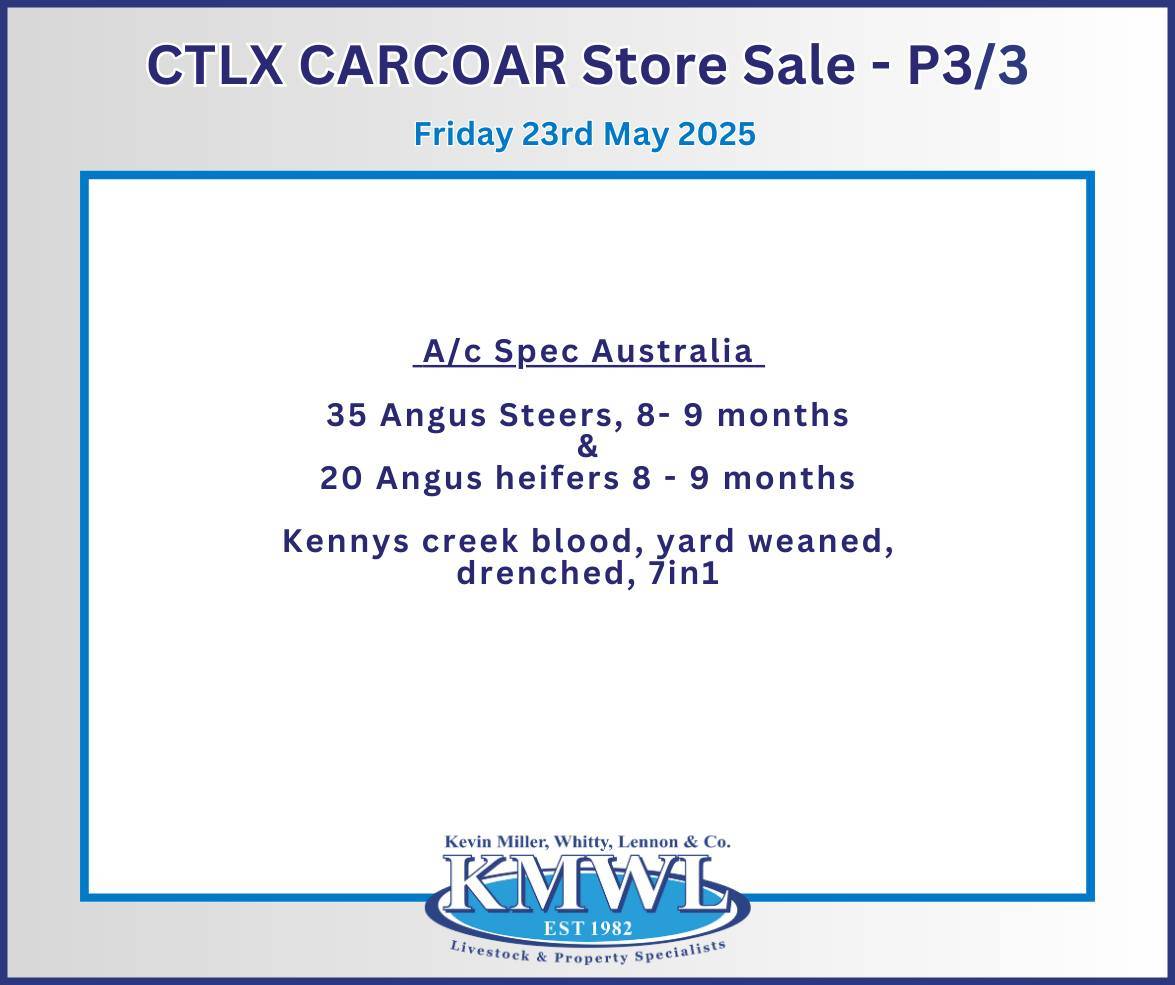 CTLX (Carcoar) Autumn Classic Weaner Sale KMWL 3.jpg