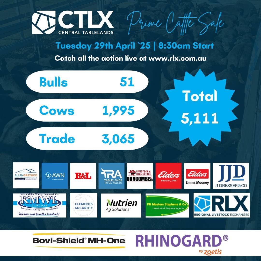 CTLX Carcoar Prime Cattle Sale.jpg