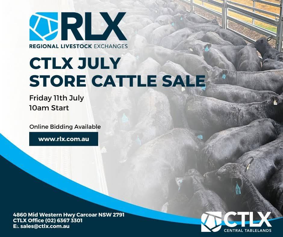 CTLX July Store Cattle Sale .jpg