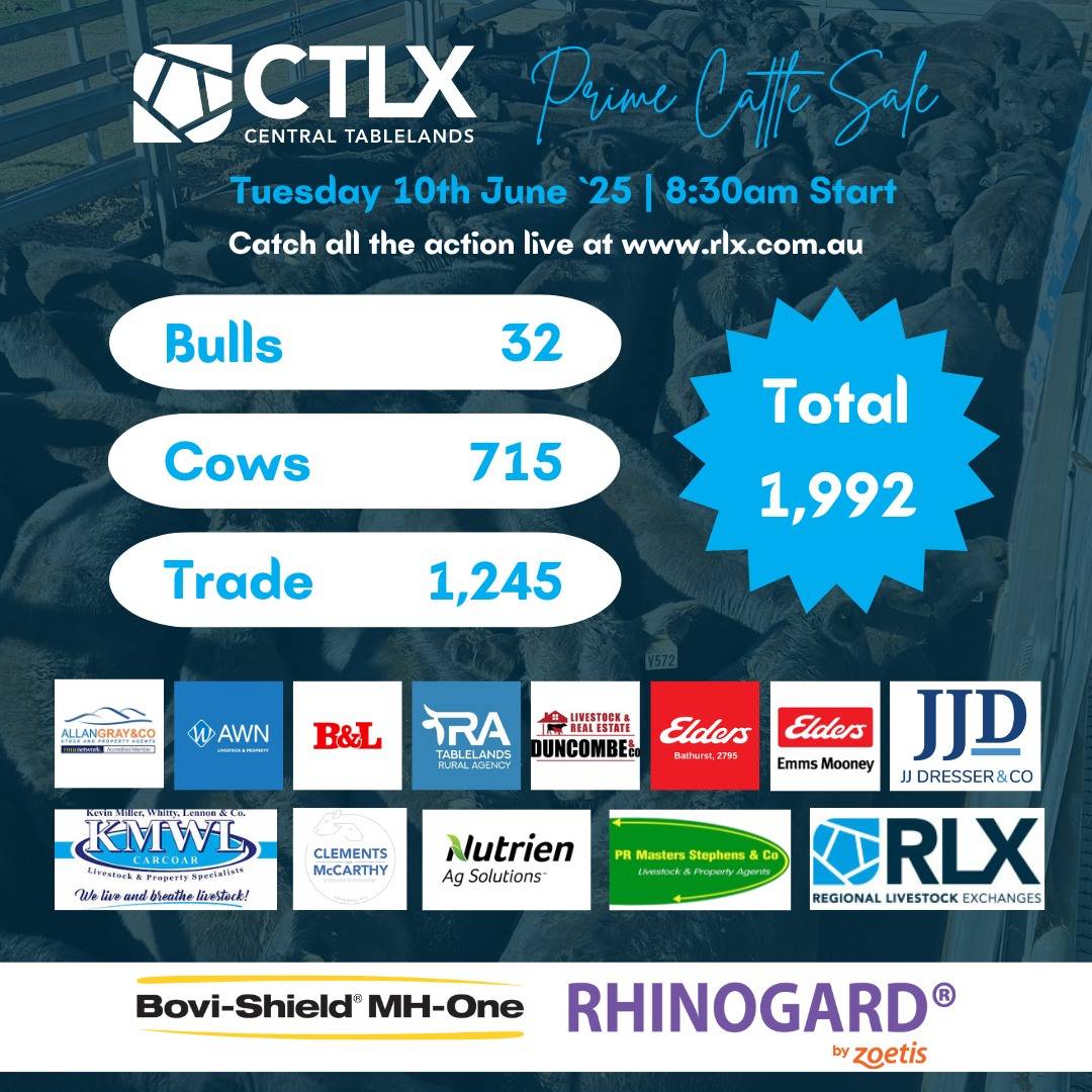 CTLX Prime Cattle Sale 1.jpg