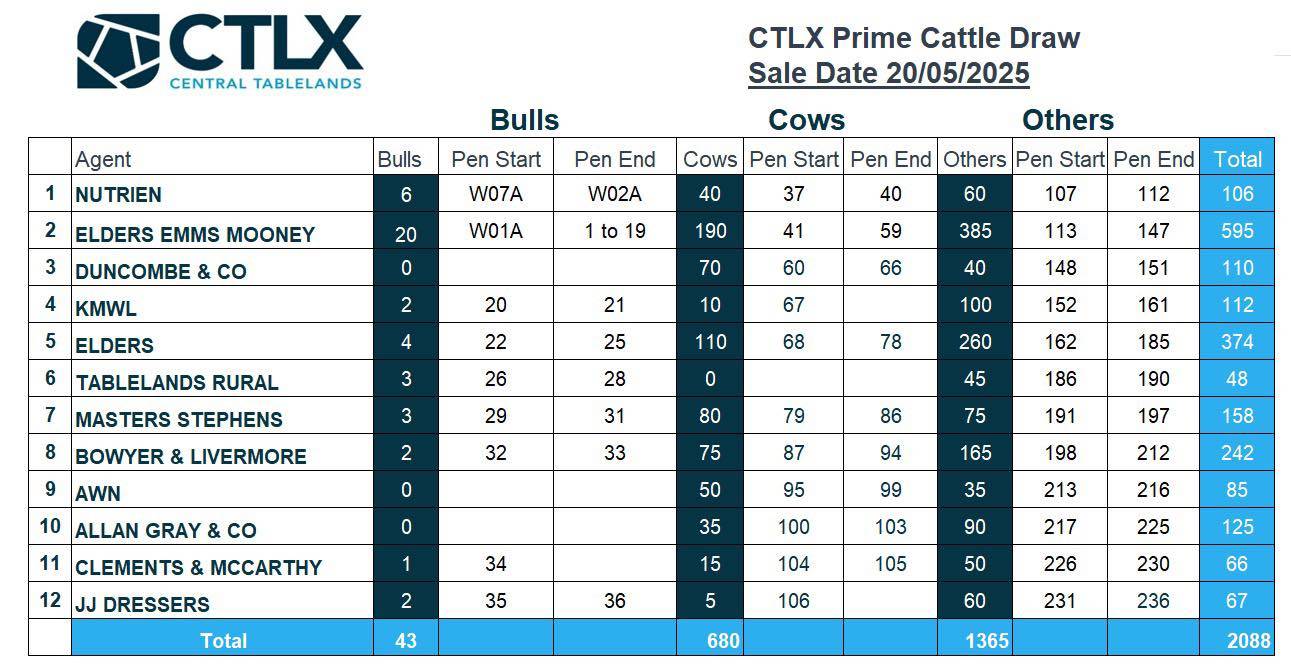CTLX Prime Cattle Sale 20 May 2.jpg