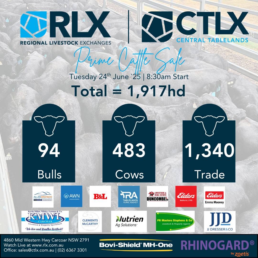 CTLX Prime Cattle Sale.jpg