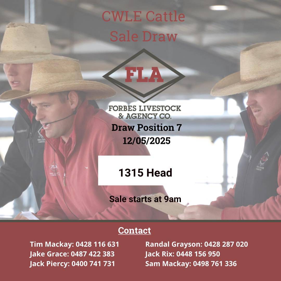 CWLE Cattle Sale 2.jpg
