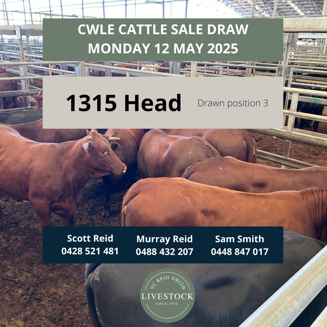 CWLE Cattle Sale .jpg