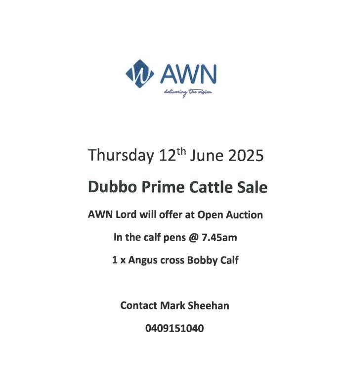 Dubbo Prime Cattle Sale 3.jpg