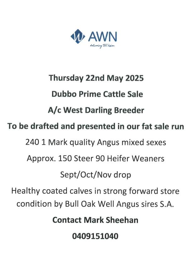 Dubbo Prime Cattle Sale AWN Information.jpg
