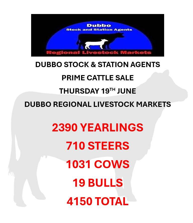Dubbo Prime Cattle Sale.jpg