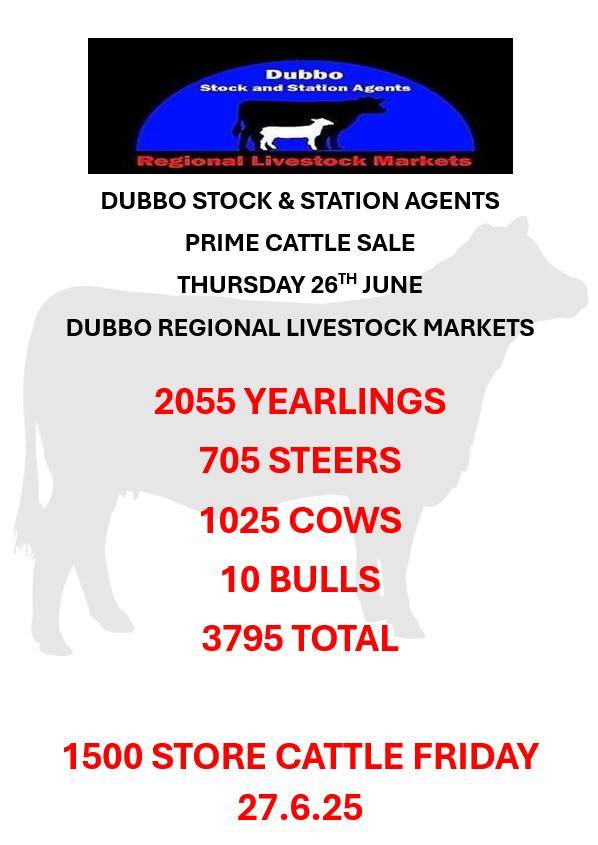 Dubbo Prime Cattle Sale.jpg