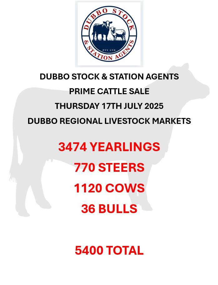 Dubbo Prime Cattle Sale.jpg