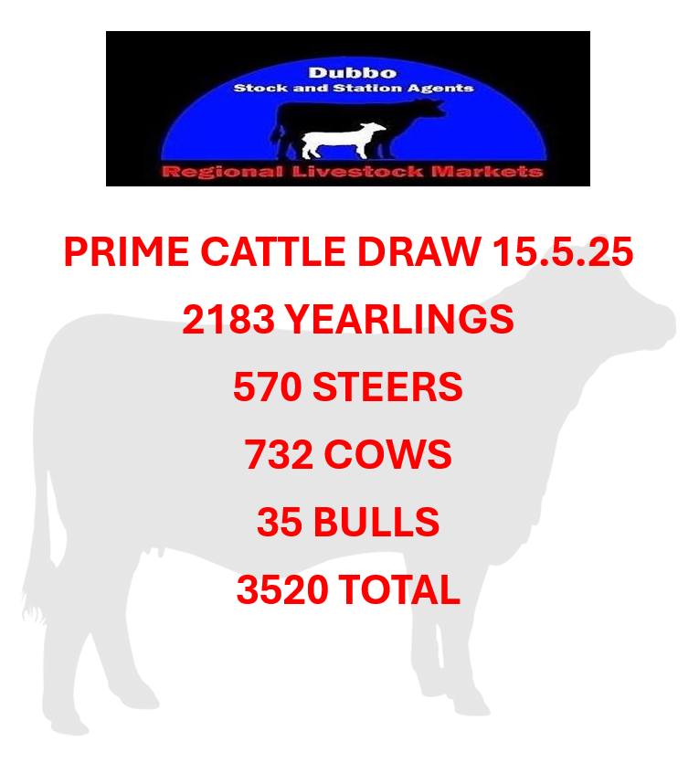 Dubbo Prime Cattle Sale.jpg