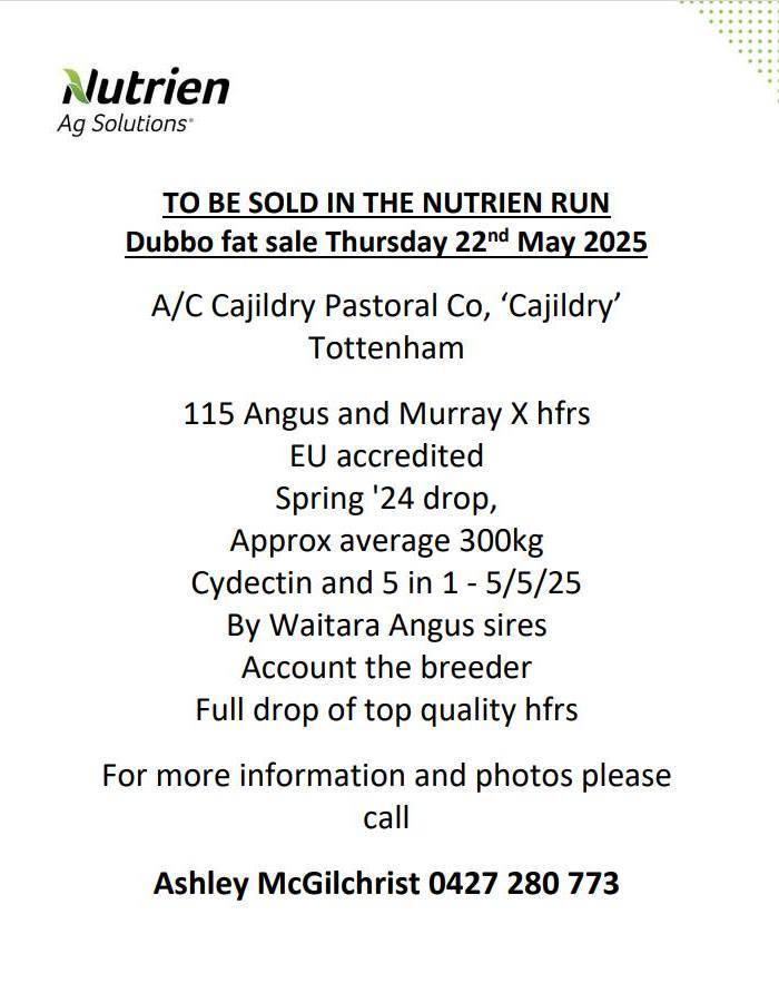 Dubbo Prime Cattle Sale Nutrien Information.jpg