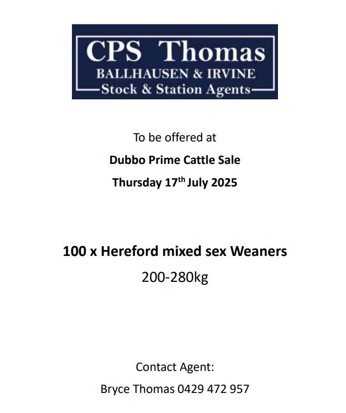 Dubbo Sale 2.jpg