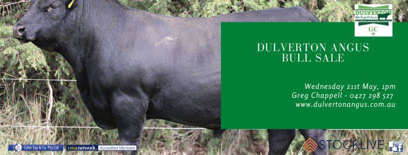 Dulverton Angus Sale.jpg