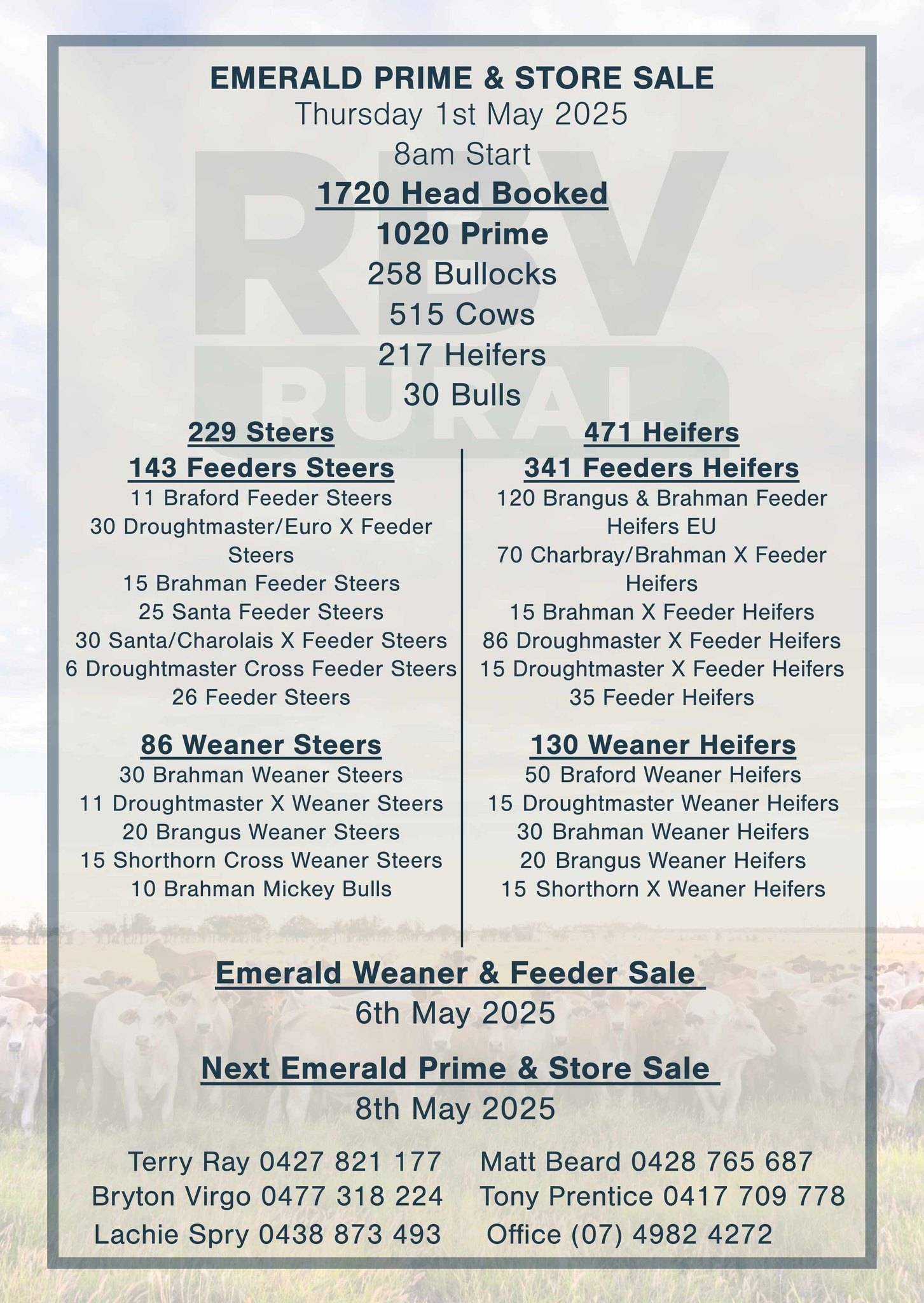 Emerald Cattle Sale.jpg