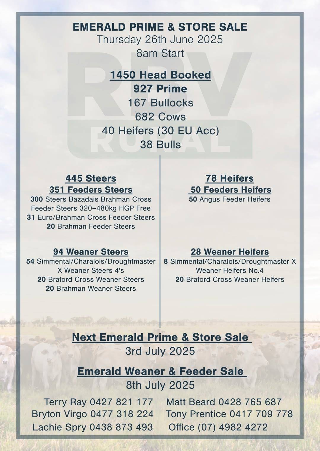Emerald Prime & Store Cattle Sale 2.jpg