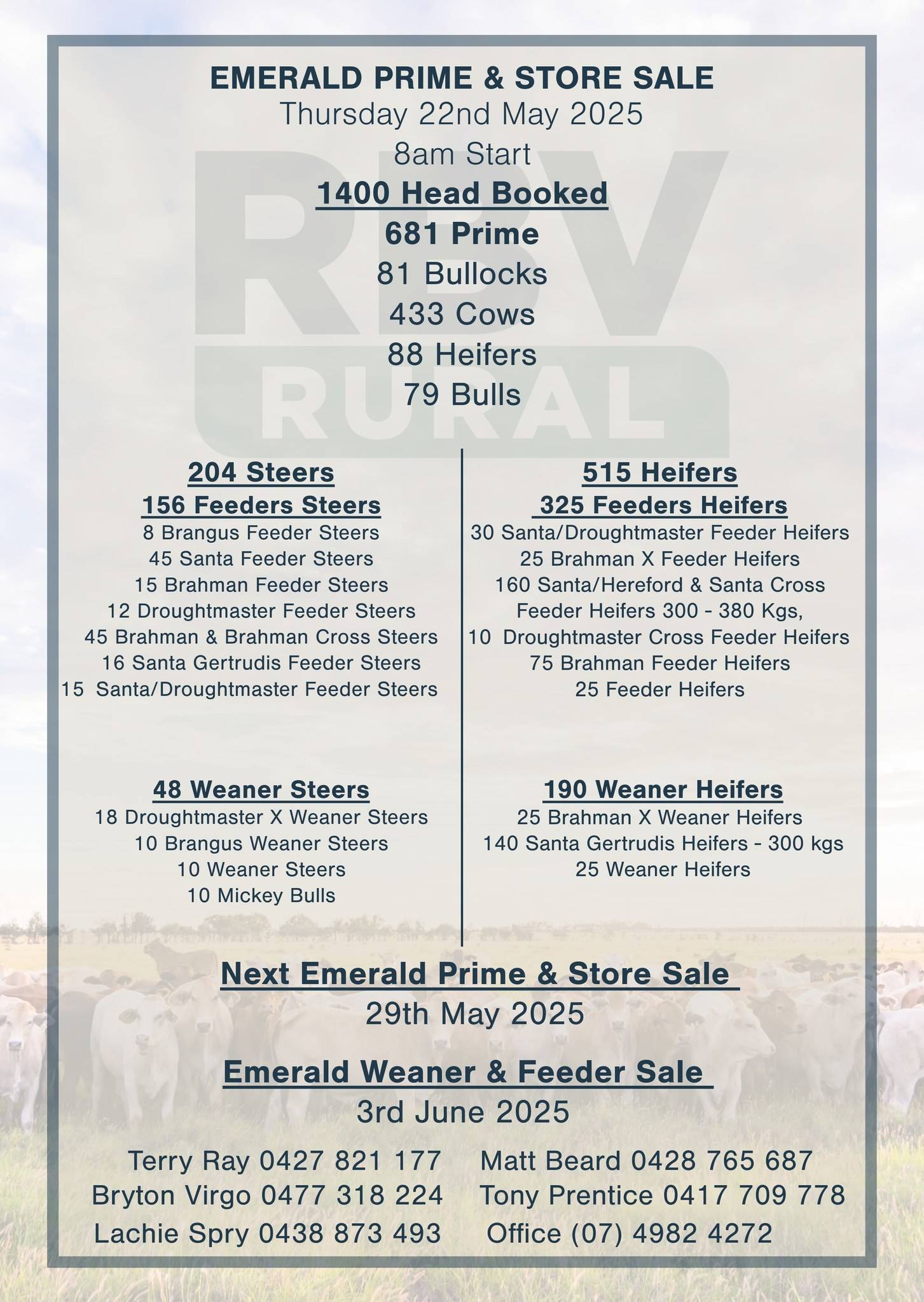 Emerald Prime & Store Cattle Sale 2.jpg