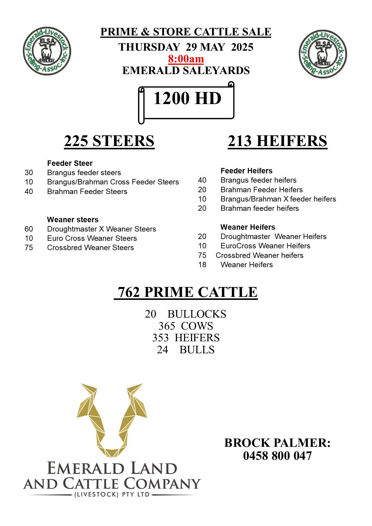 Emerald Prime & Store Cattle Sale 2.jpg