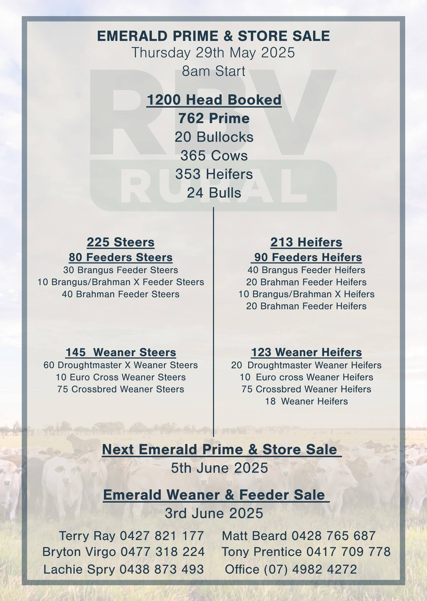 Emerald Prime & Store Cattle Sale.jpg
