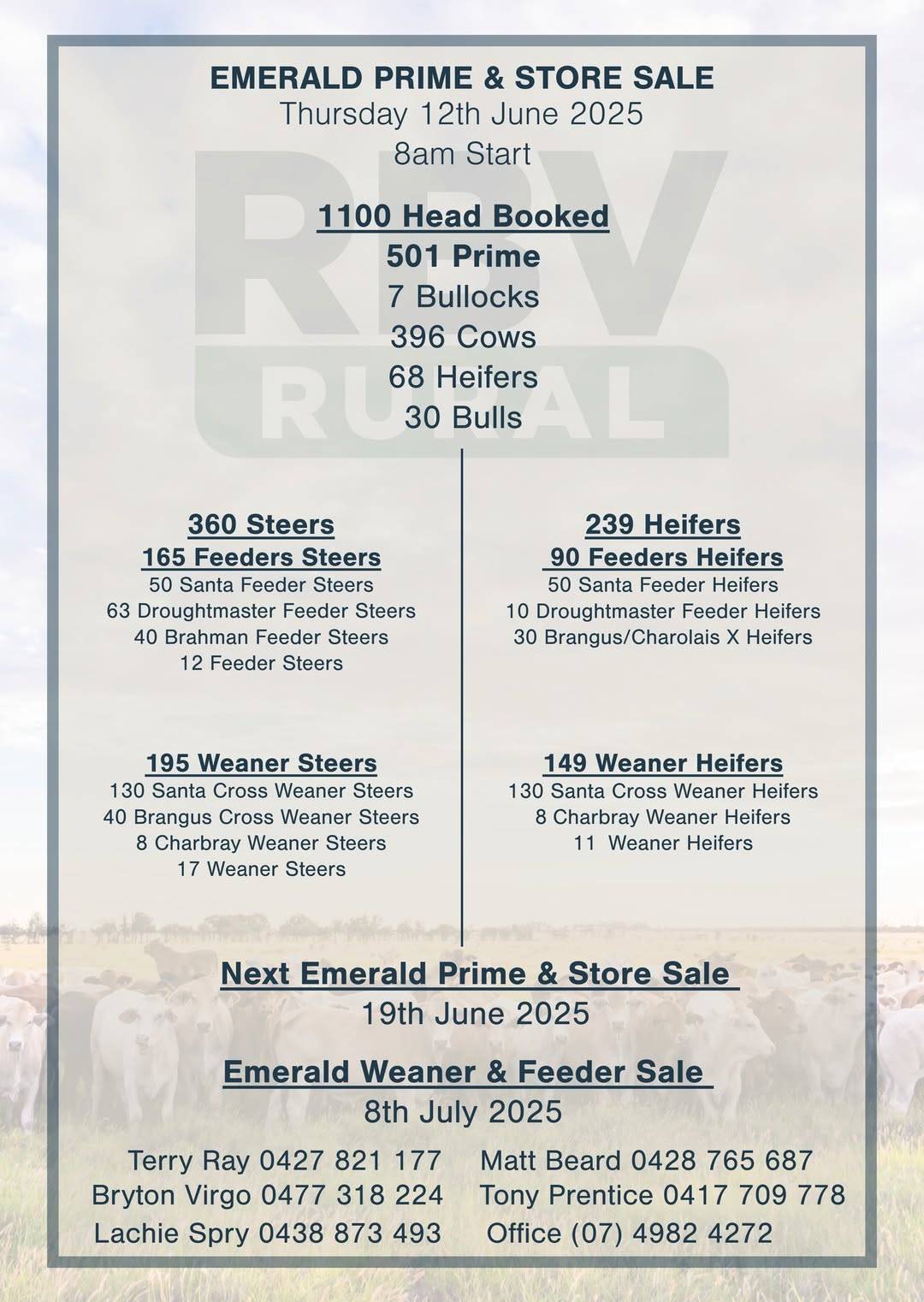 Emerald Store Cattle Sale 2.jpg