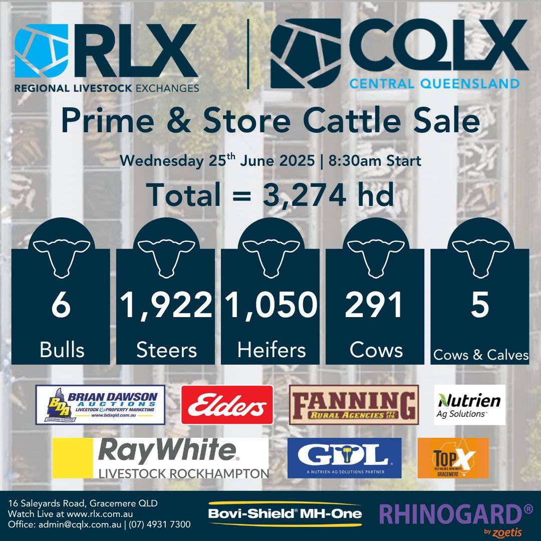 Gracemere Cattle Sale 2.jpg