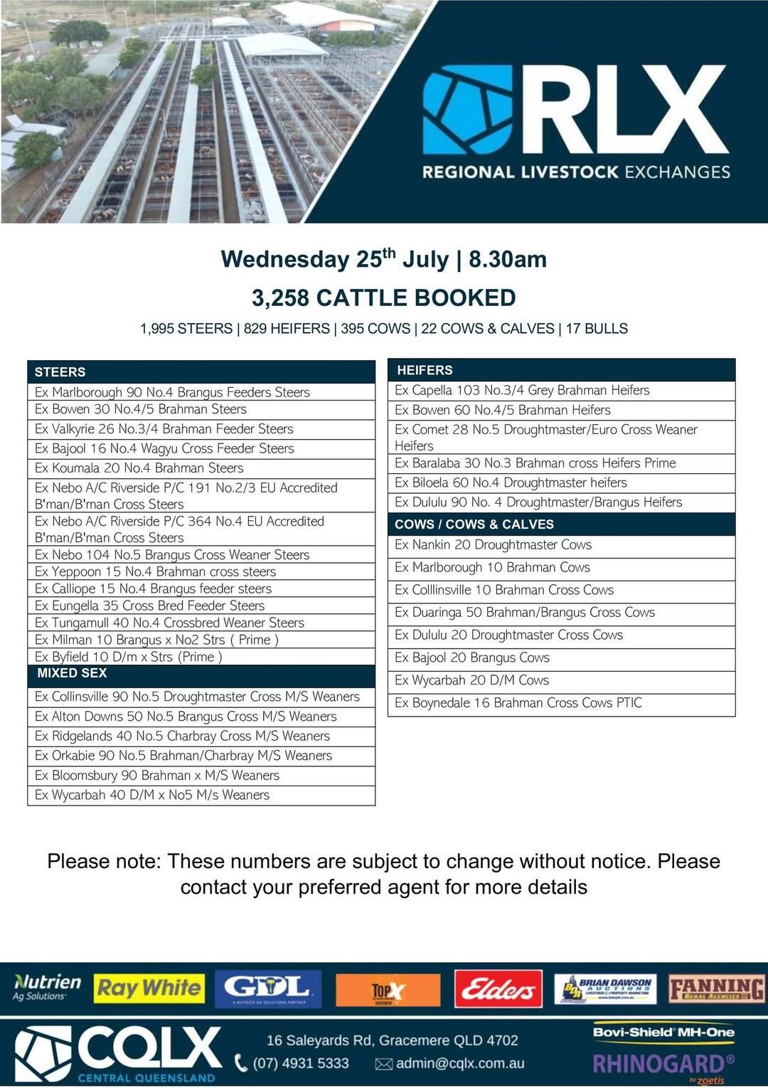 Gracemere Cattle Sale.jpg