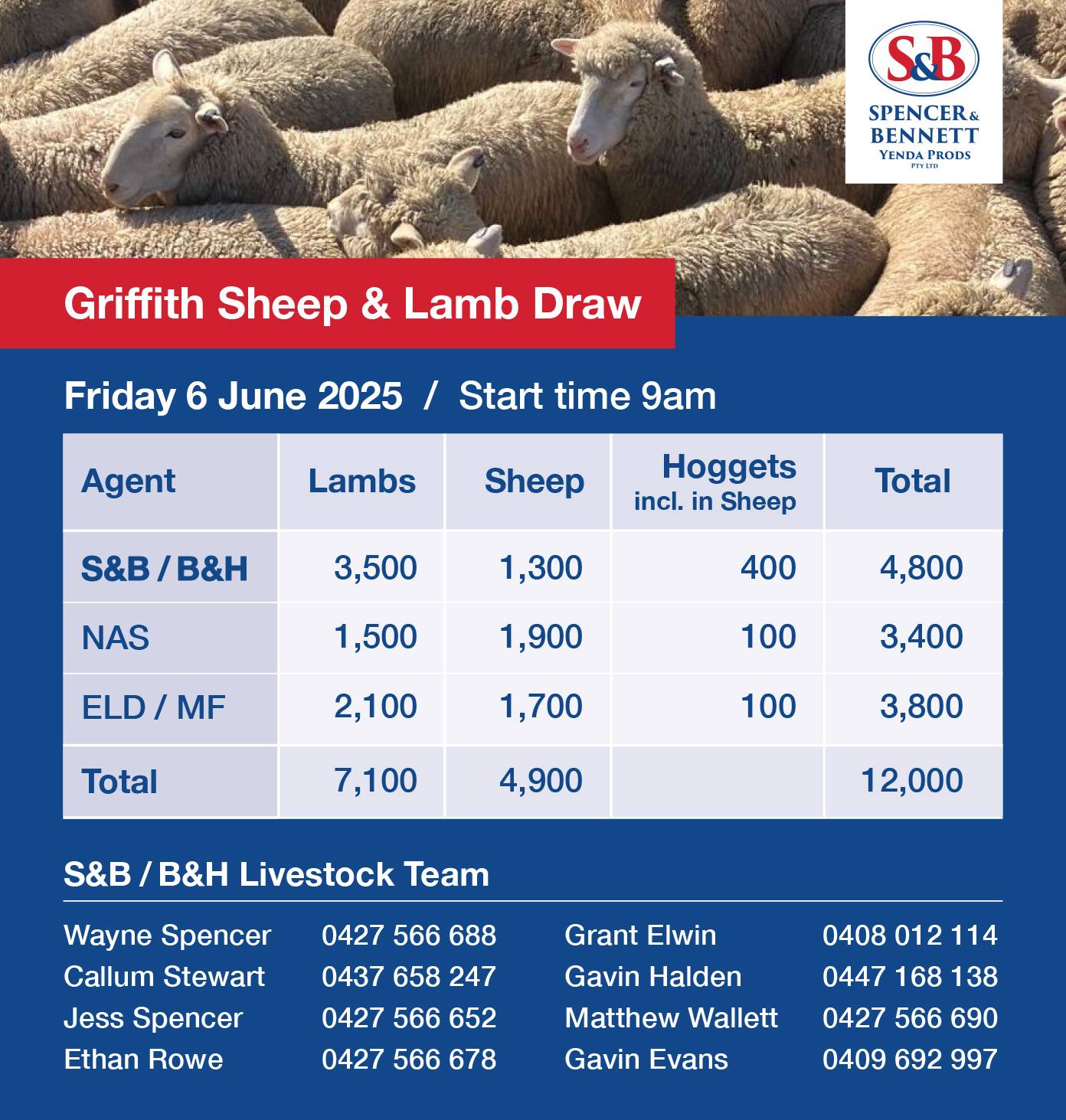 Griffith Sheep and Lamb Sale .jpg