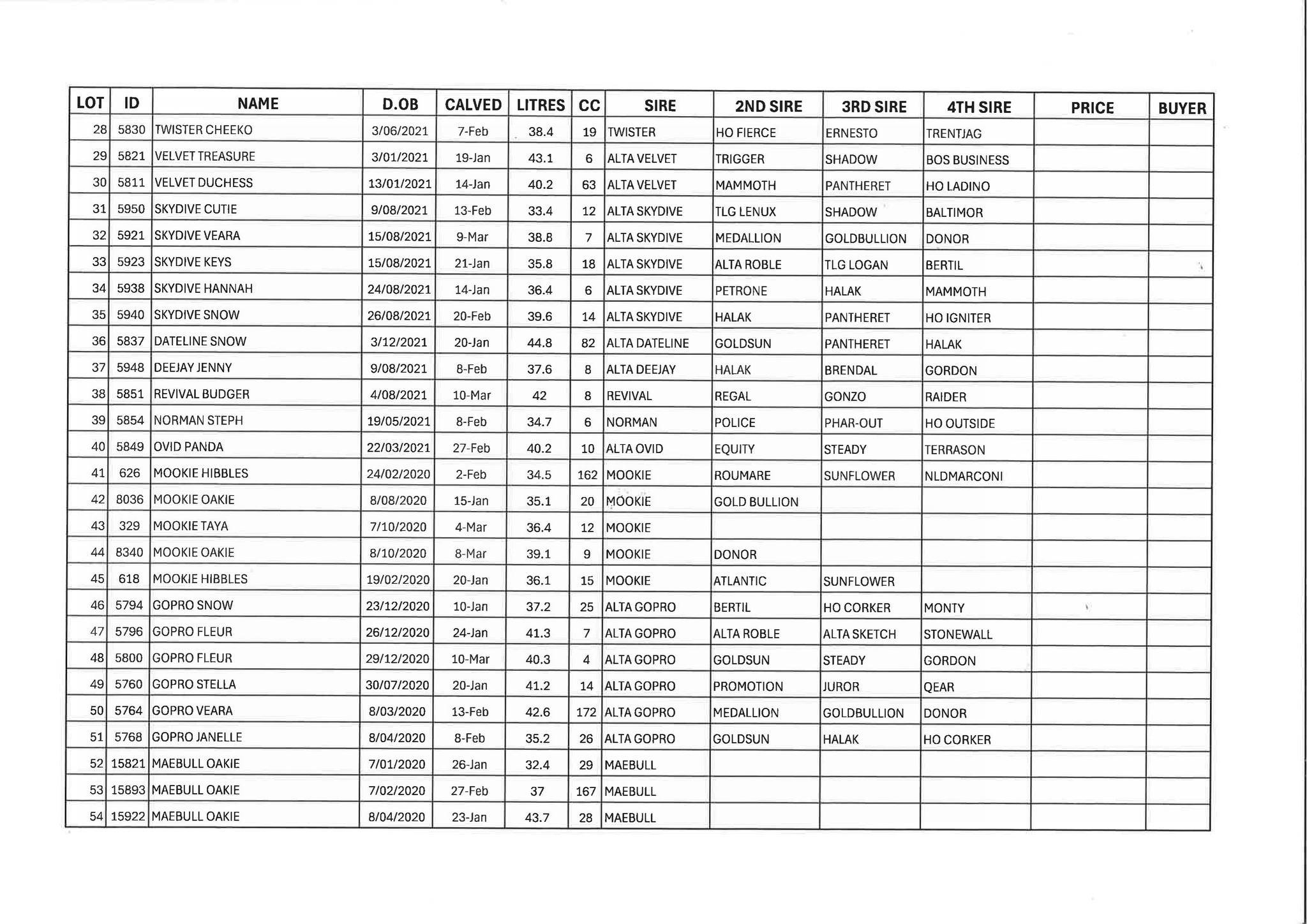 GVLX (Shepparton) Meyview Autumn Calved Holstein Dispersal Sale 3.jpg