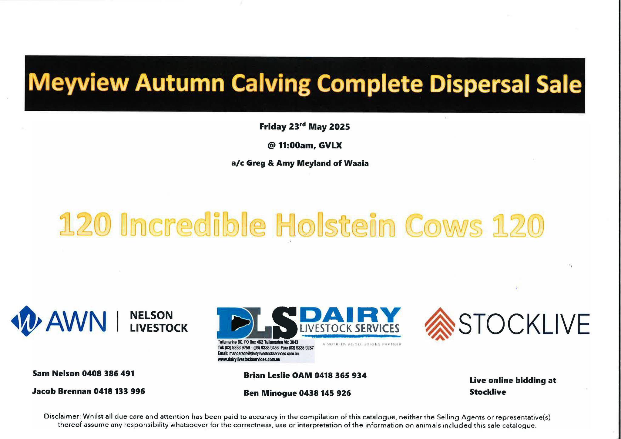 GVLX (Shepparton) Meyview Autumn Calved Holstein Dispersal Sale.jpg