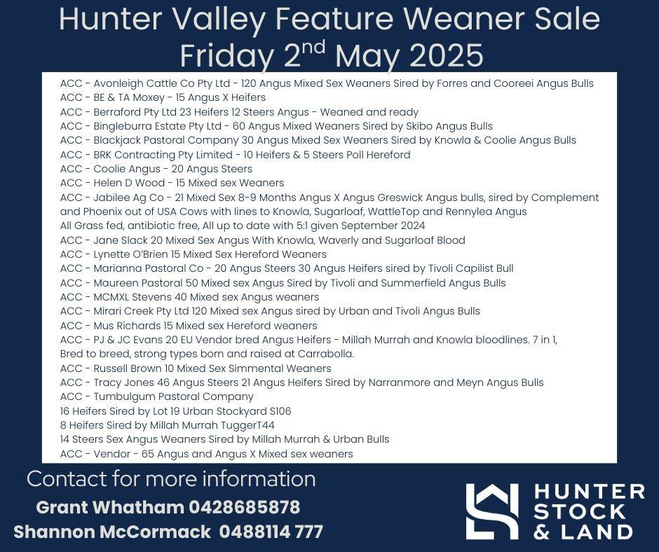 Hunter Valley Feature Weaner Sale.jpg