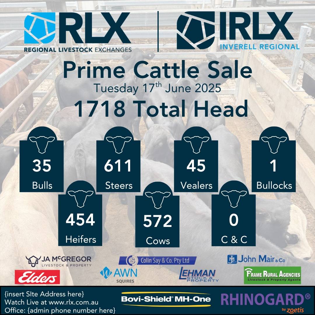 IRLX Prime Cattle Sale.jpg