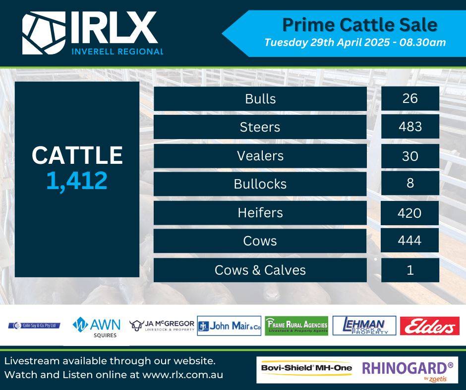 IRLX Prime Cattle Sale.jpg