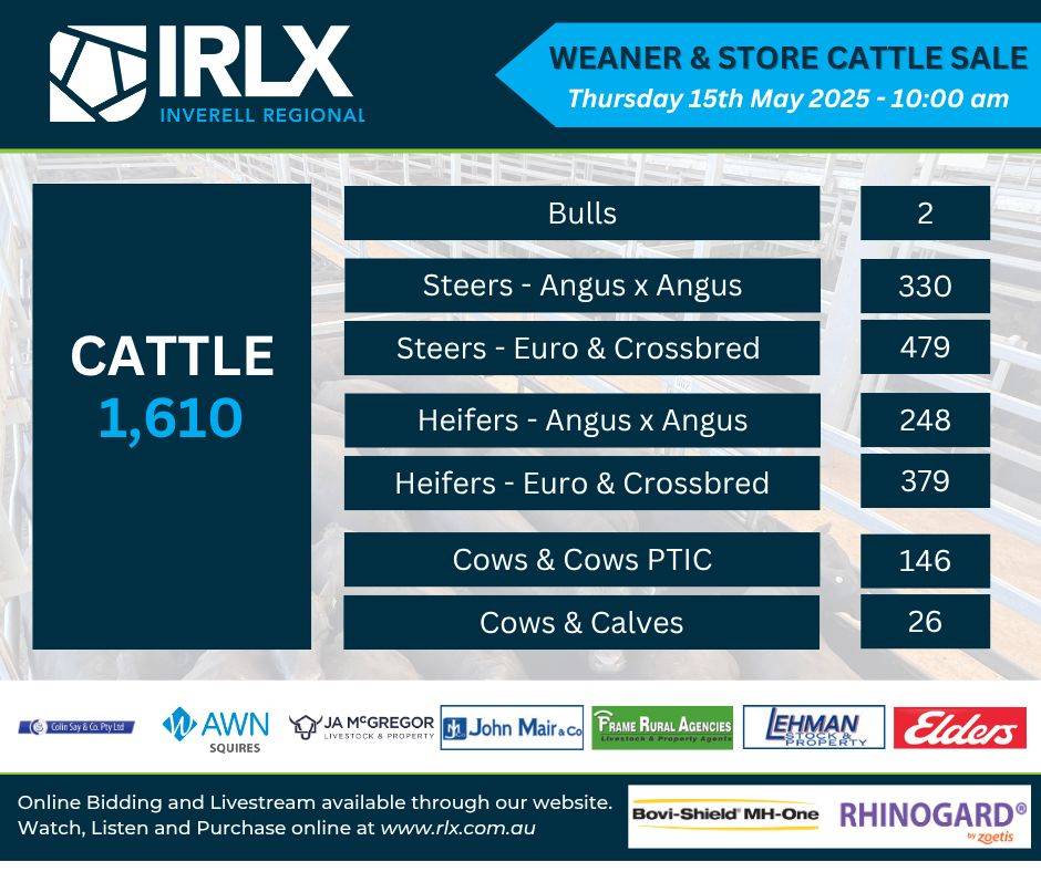 IRLX Weaner & Store Cattle Sale.jpg